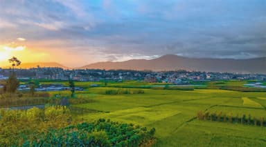 5FACCA1D3503880-Duwakot.jpg